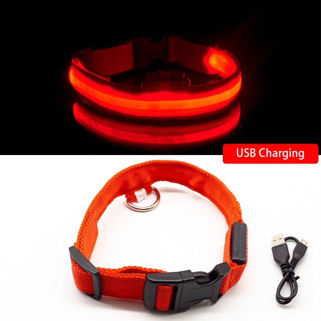 USB Rechargeable LED Glowing Dog Collar