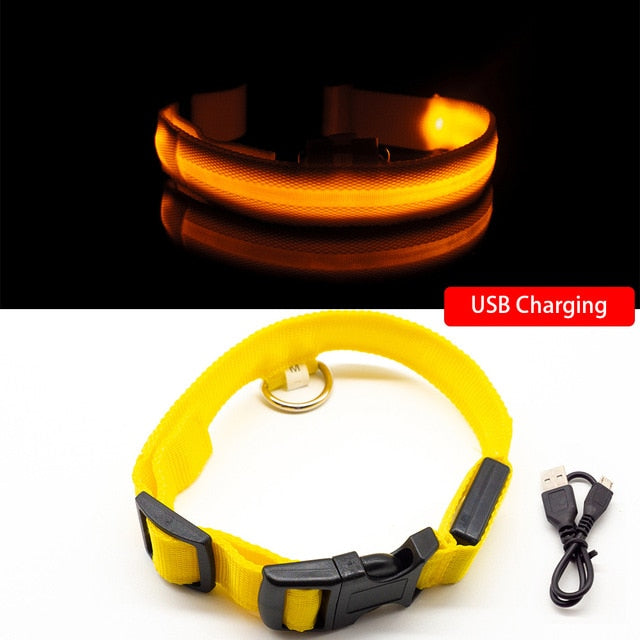 USB Rechargeable LED Glowing Dog Collar