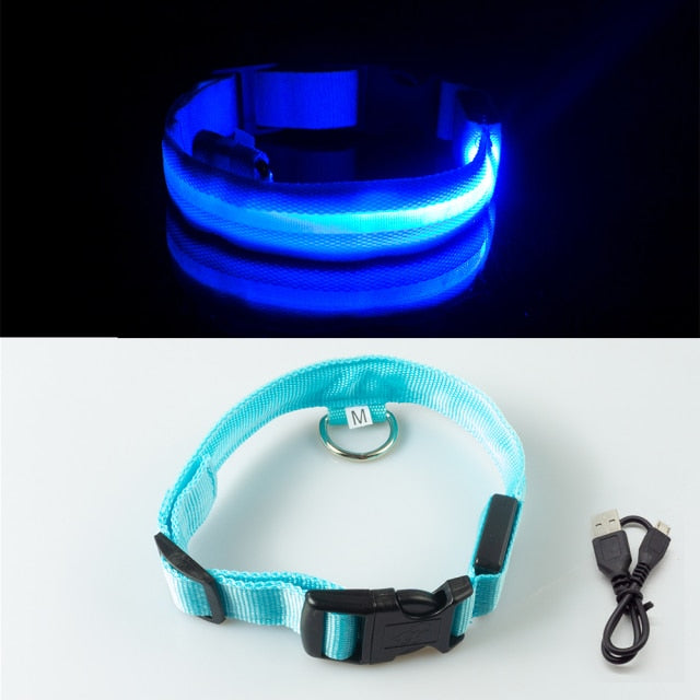 USB Rechargeable LED Glowing Dog Collar