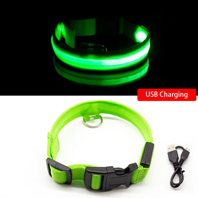 USB Rechargeable LED Glowing Dog Collar