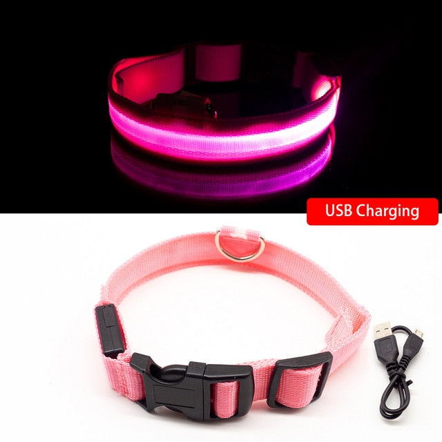 USB Rechargeable LED Glowing Dog Collar